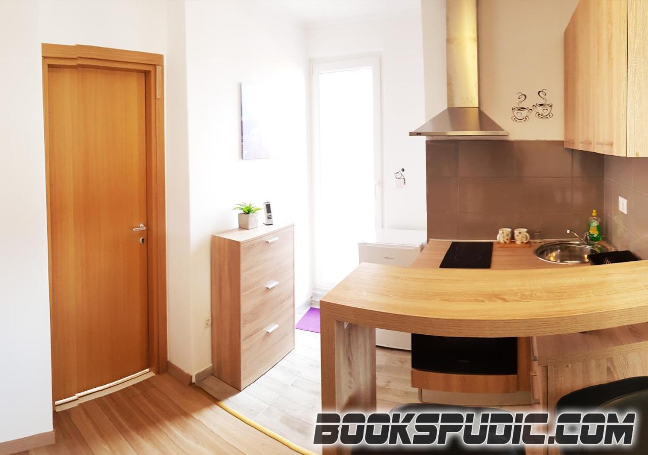 Appartamento Penthouse Spudic Karlovac Esterno foto