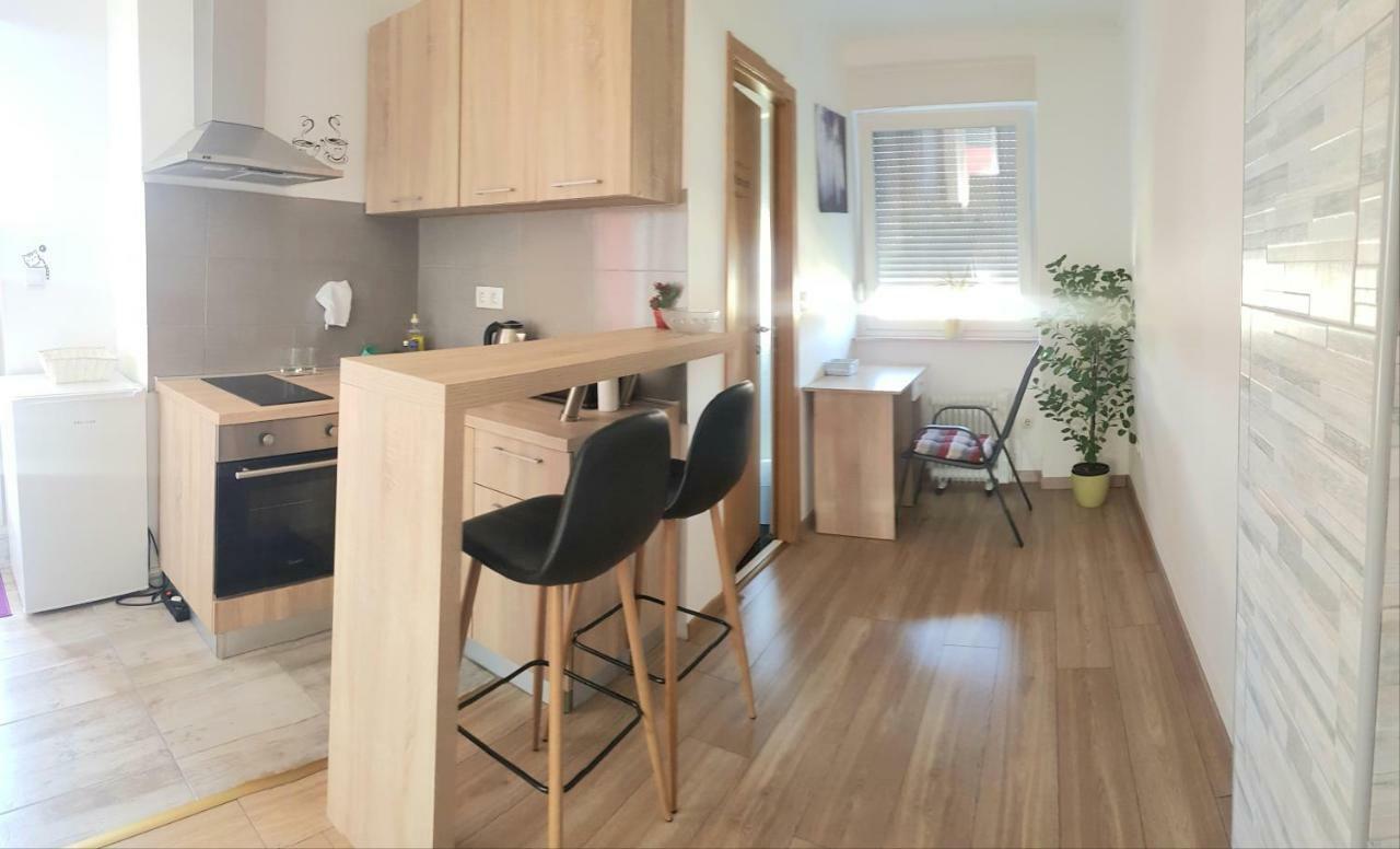 Appartamento Penthouse Spudic Karlovac Esterno foto